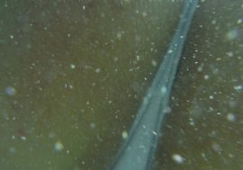 Close up of ass underwater with white panties and surrounded by sea bubbles